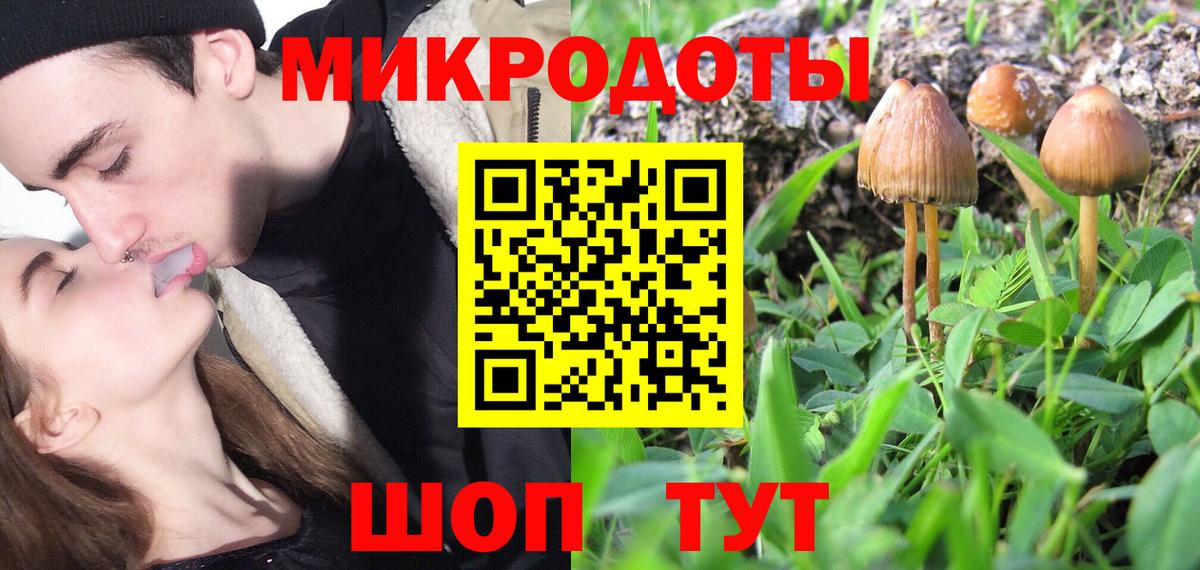 Наро-Фоминск  Галлюциногенные грибы Psilocybine cubensis  Вход с VPN  Галлюциногенные грибы GOLDEN TEACHER 
